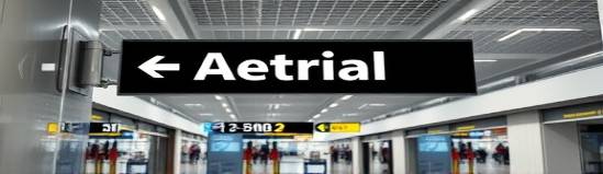 innovative polycarbonate signage, modern, directing traffic, photorealistic, bustling airport terminal, highly detailed, illuminated by LED lights, sleek design, bold blacks and whites, diffused spotlight, shot with an 85mm lens.